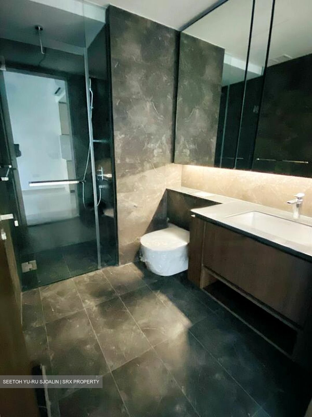 Kopar At Newton (D9), Apartment #457371611